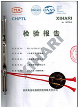 VS1-12/1250-31.5检验报告